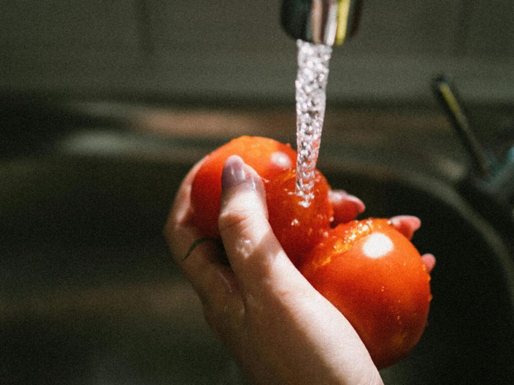 Person washing tomatoes – safe irrigation and plumbing supports health.