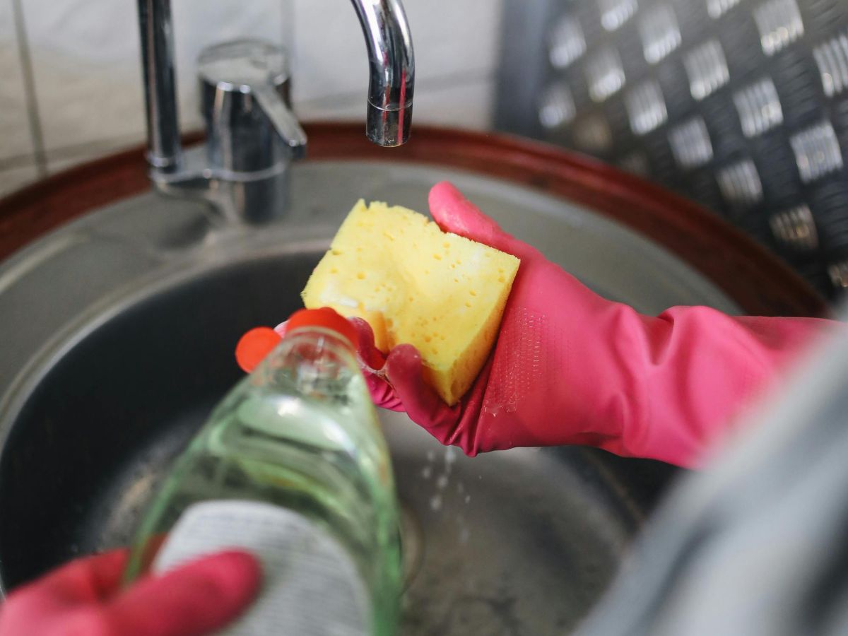 Sponge cleaning a dish – clean rinse water key to hygiene.